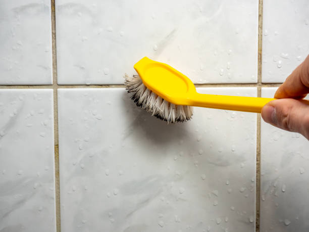 Best Post-Remediation Services in Pineville, LA
