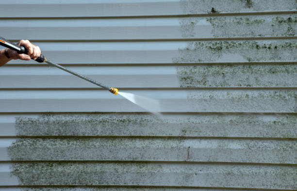 Pineville, LA Mold Remediation Company